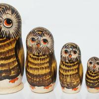 Forest owls